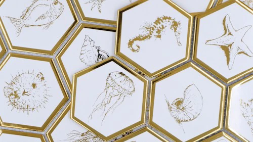 Queen Sea-Kollektion