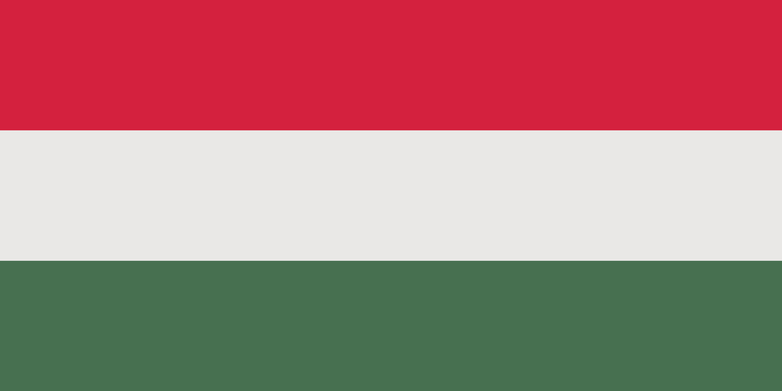 hungary flag hungary flag